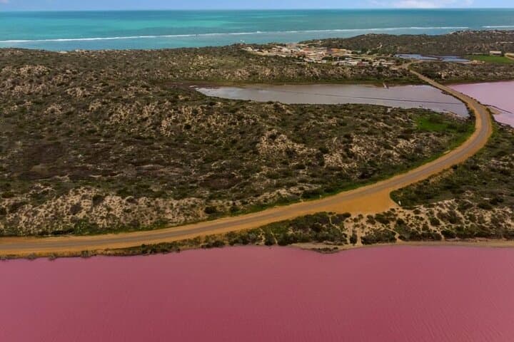 Outback Coast 4-Day Tour: Pinnacles, Kalbarri & Monkey Mia Highlights photo 2