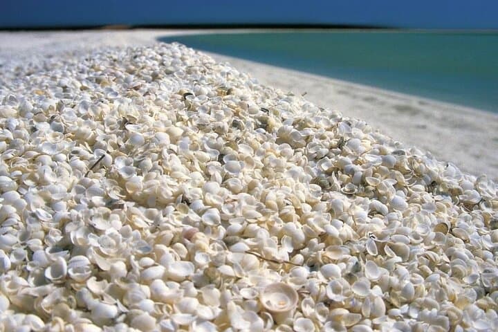 Outback Coast 4-Day Tour: Pinnacles, Kalbarri & Monkey Mia Highlights photo 4