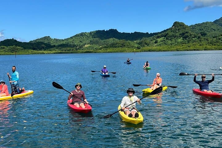 Lailai Lounge All-Inclusive Island Retreat: Snorkeling, Sandbars & Fijian Culture photo 5