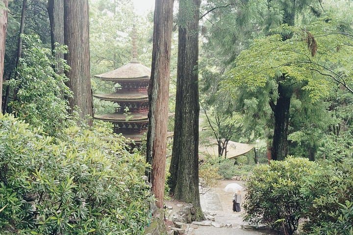 Muro-ji Temple: Women’s Kōyasan — Forest Pilgrimage Near Nara photo 5