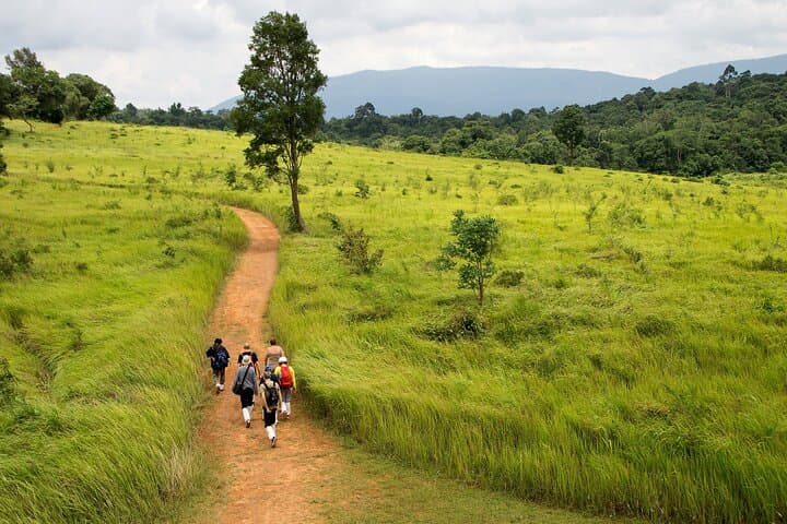 Khao Yai National Park: Waterfalls, Deer & Jungle Walks Day Trip from Bangkok photo 2