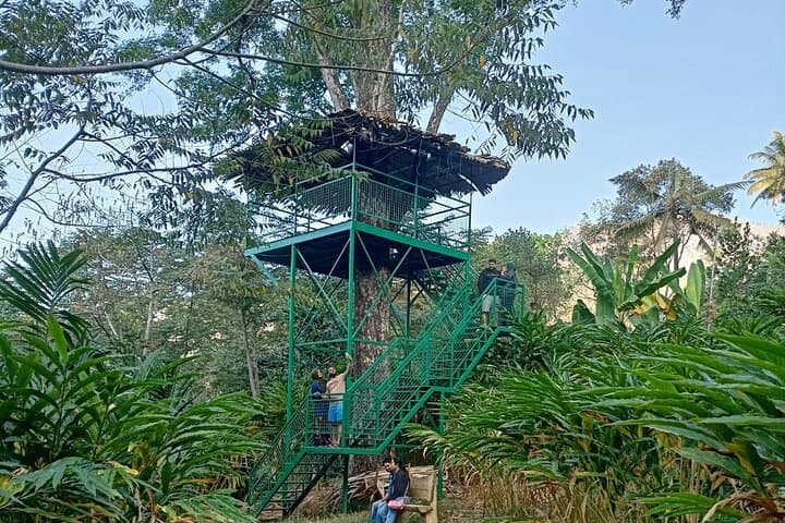 Kerala in Five Days: Munnar Teas, Alleppey Backwaters & Fort Kochi Heritage photo 4