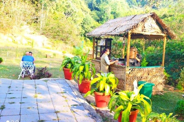 Kerala in Five Days: Munnar Teas, Alleppey Backwaters & Fort Kochi Heritage photo 5