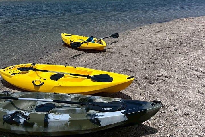 Yakushima Adventure Gear Rentals: SUP, Kayak & Camping Gear for Island Explorers photo 4