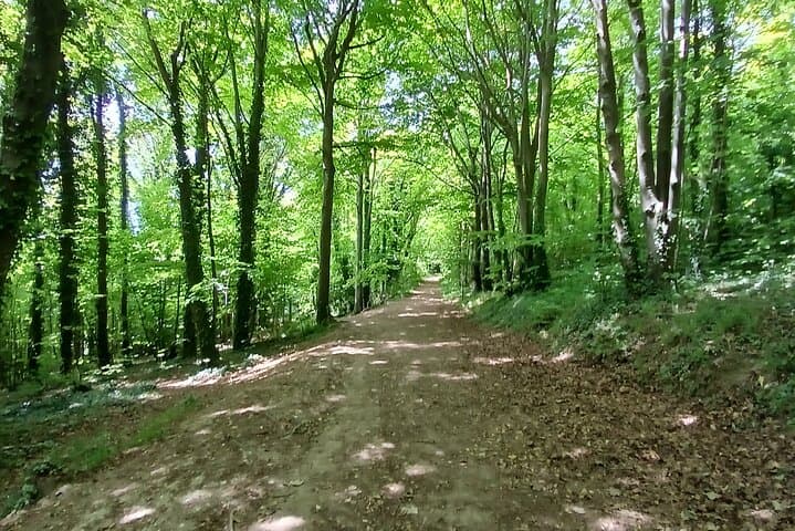 South Downs Wine Walk: Ridgeview & Artelium Private Tour