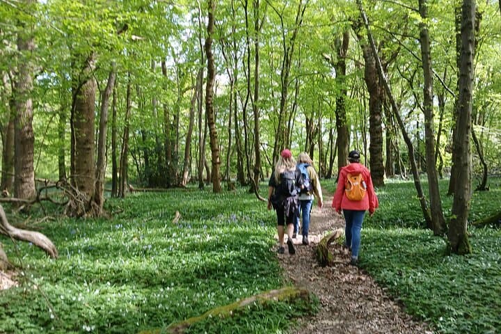 South Downs Wine Walk: Ridgeview & Artelium Private Tour photo 2