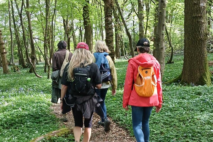 South Downs Wine Walk: Ridgeview & Artelium Private Tour photo 3