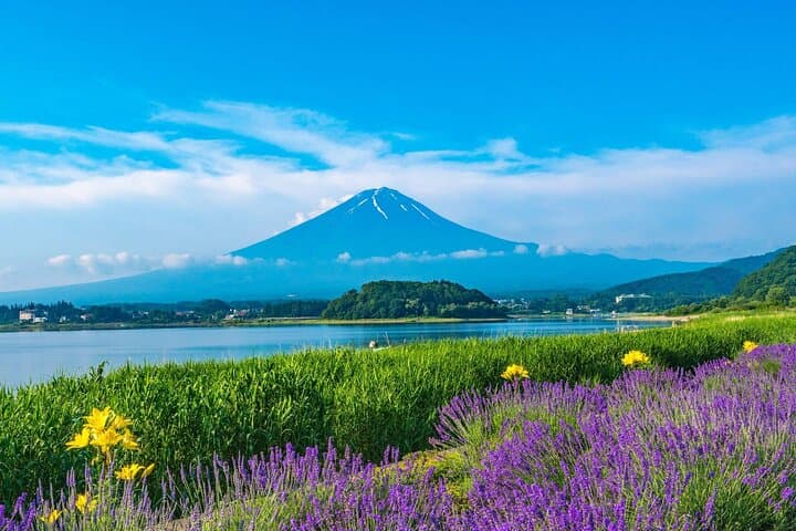 Mt Fuji Panoramic Ropeway, Fruit Picking & Oishi Park Day Tour from Tokyo