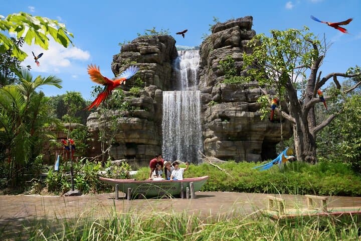 Bird Paradise & Penguin Cove Buffet Lunch — Mandai's Living Aviary Experience