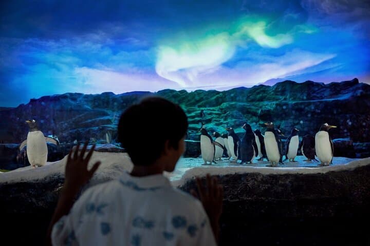 Bird Paradise & Penguin Cove Buffet Lunch — Mandai's Living Aviary Experience photo 3