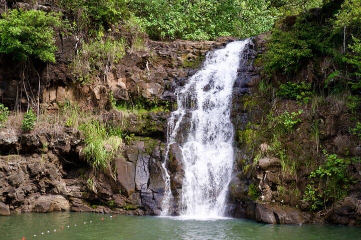 Private Oahu Circle-Island Tour — Customizable 4/6/8-Hour Private Day Trip photo 6