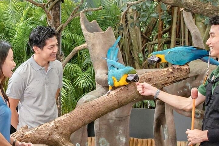 Breakfast in the Wild at Singapore Zoo: Animal Encounter & Morning Buffet photo 3
