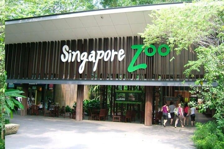 Breakfast in the Wild at Singapore Zoo: Animal Encounter & Morning Buffet photo 2