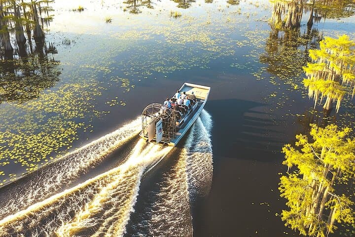 Miami Everglades Airboat Tour — Gator Encounters, Ranger Talks & Photo Stops photo 2