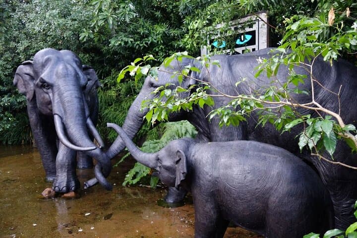 Night Safari Singapore: Tram Ride, Walking Trails & Dinner Options photo 2