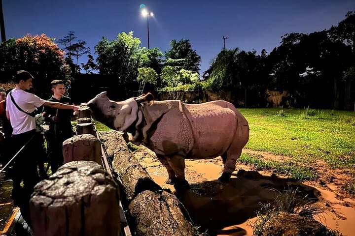 Night Safari Singapore: Tram Ride, Walking Trails & Dinner Options photo 3