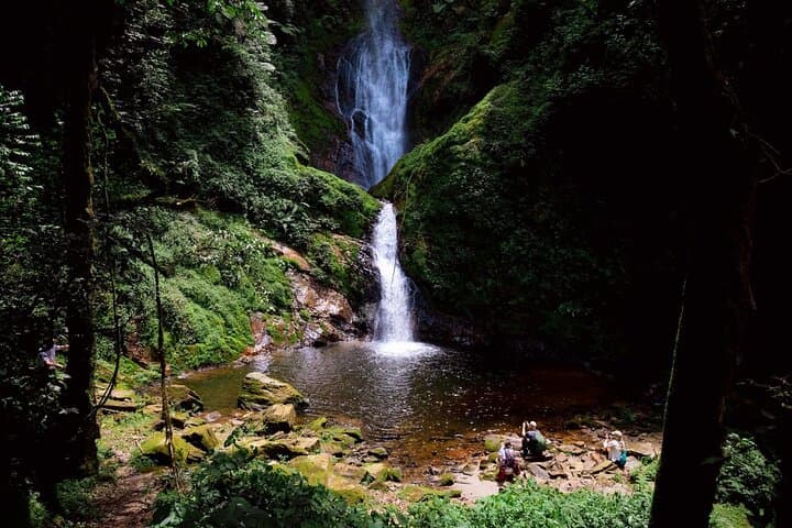 Nyungwe Canopy Walk, Zipline & Ndambarare Waterfall Day Trip from Kigali