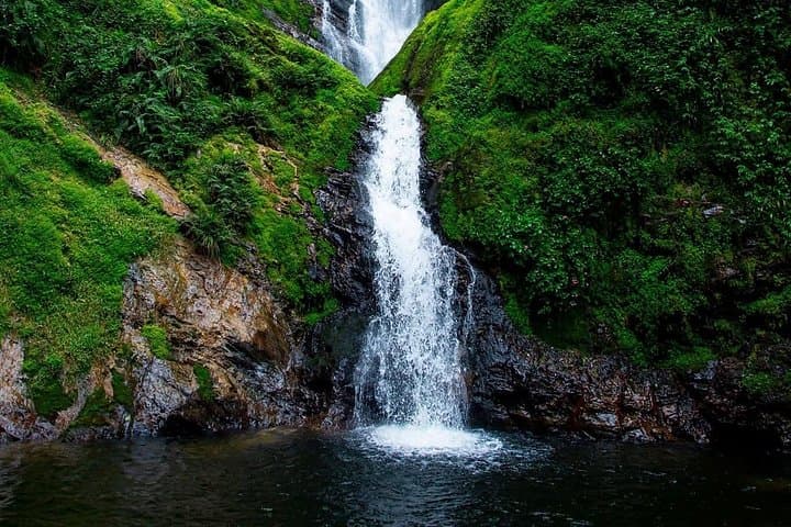 Nyungwe Canopy Walk, Zipline & Ndambarare Waterfall Day Trip from Kigali photo 2