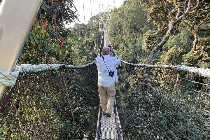 Nyungwe Canopy Walk, Zipline & Ndambarare Waterfall Day Trip from Kigali photo 3