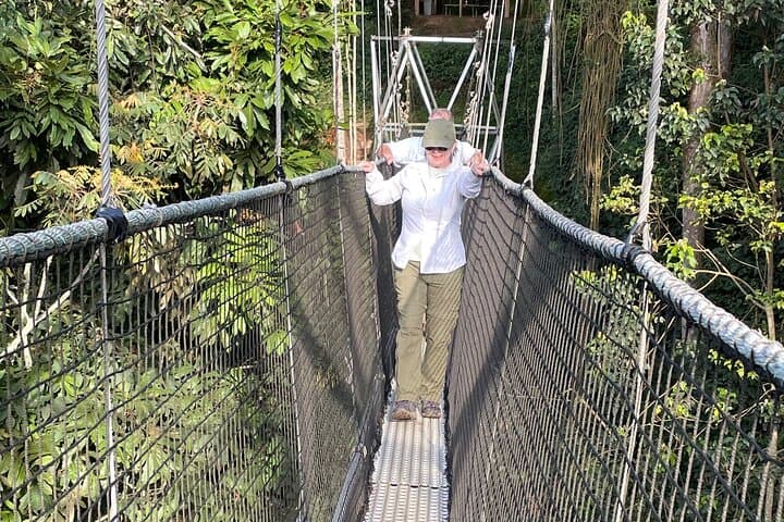 Nyungwe Canopy Walk, Zipline & Ndambarare Waterfall Day Trip from Kigali photo 4
