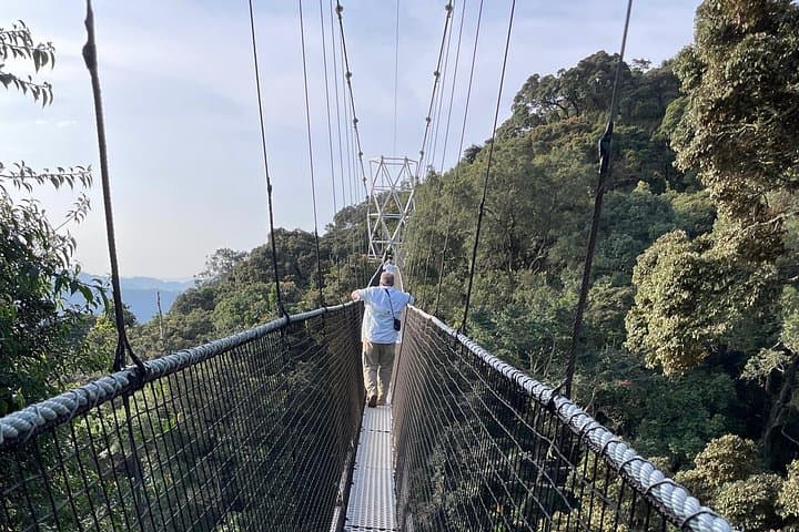 Nyungwe Canopy Walk, Zipline & Ndambarare Waterfall Day Trip from Kigali photo 5