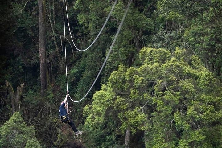 Nyungwe Canopy Walk, Zipline & Ndambarare Waterfall Day Trip from Kigali photo 6