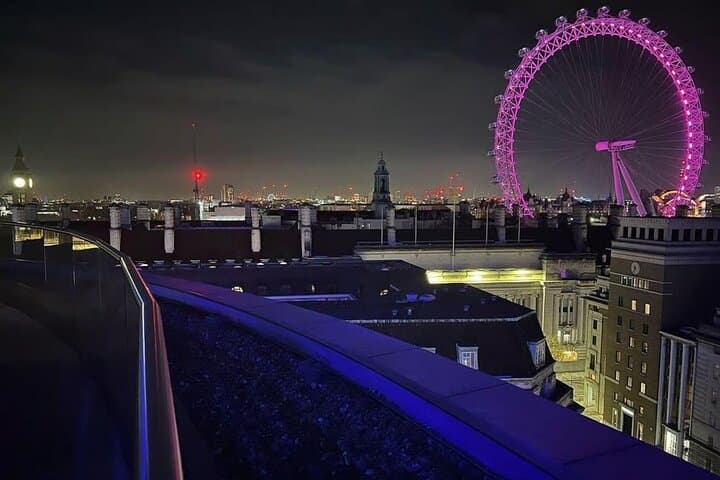 London Bridges by Night: Private Minivan Tour & Thames Light Cruise photo 3