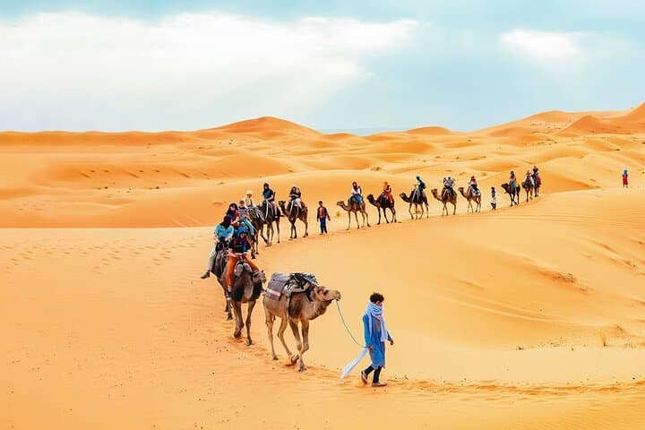 Private Dubai Desert Safari with BBQ Dinner & Dune Bashing (Up to 6) photo 4