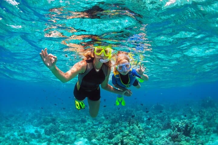 Cadaqués Swimming Adventure: Sail Cap de Creus & Swim Sa Conca photo 6