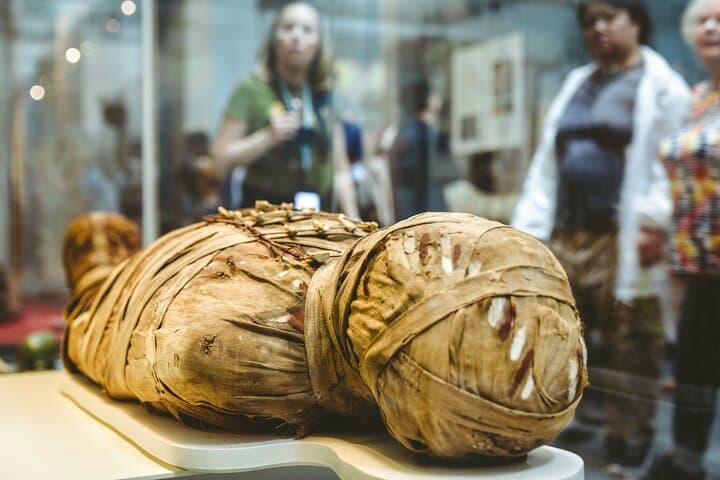 Museum of Fine Arts Boston Skip-the-Line Private Guided Tour — Insider Visitor's Guide photo 4