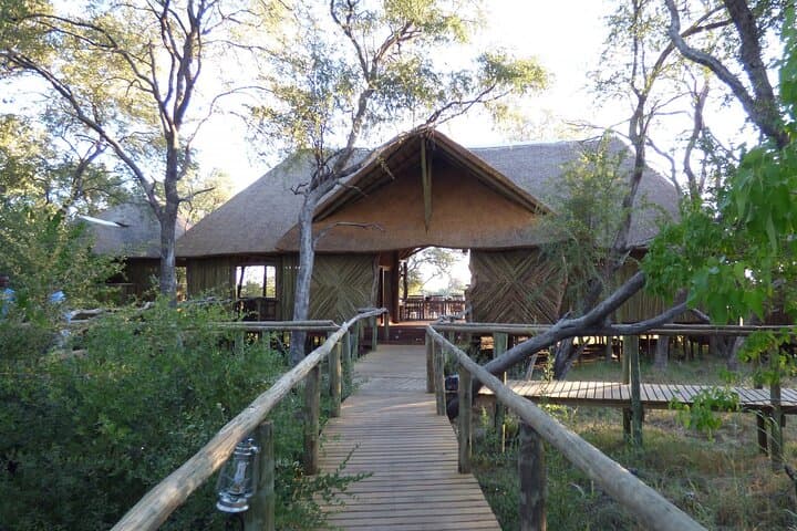 7-Day Luxury Okavango Odyssey Safari from Maun — Gomoti to Khwai photo 2