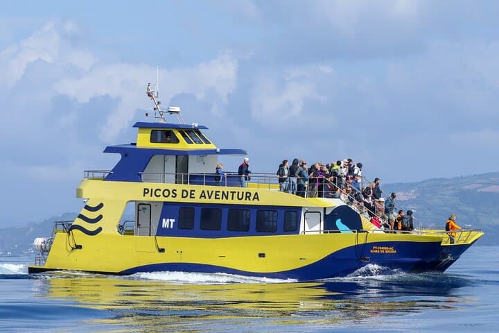 Azores Whale Watching from Ponta Delgada — Biologist-Guided Boat Tours photo 6