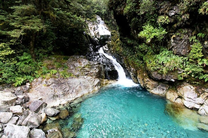 4-Day Milford Sound, Mount Cook & TranzAlpine Scenic Train Tour from Christchurch photo 5