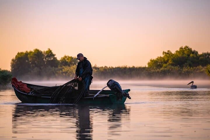 Heart of the Danube Delta: Small-Group Speedboat Tour from Bucharest photo 2