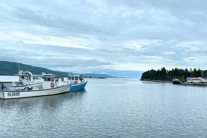 Ingonish & Keltic Lodge: 6-Hour Cabot Trail Scenic Drive from Sydney photo 5