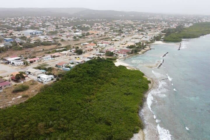 Kayak and Snorkel Reef Island: Mangel Halto to Spanish Lagoon, Aruba photo 4