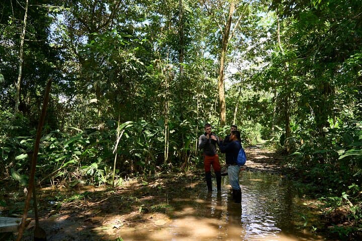 Iquitos Amazon Adventure: 3-Day Jungle Lodge, River Cruises & Pink Dolphins photo 2