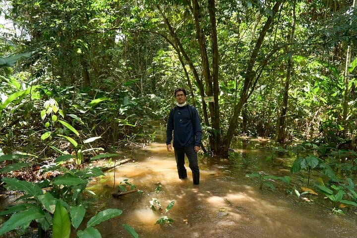 Iquitos Amazon Adventure: 3-Day Jungle Lodge, River Cruises & Pink Dolphins photo 6