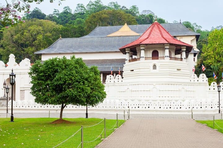 Complete Sri Lanka Experience: 20-Day Private Tour from Colombo
