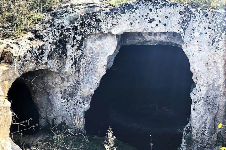 Olive Oil Tour & Tasting in Ostuni: Mill Visits, Grove Walks & Guided Tasting photo 6