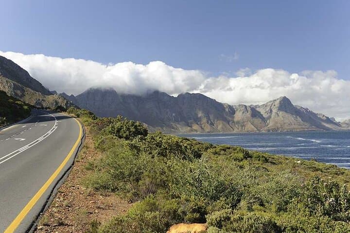 3-Day Garden Route from Cape Town: Cango Caves, Botlierskop Safari & Coastal Sights photo 4