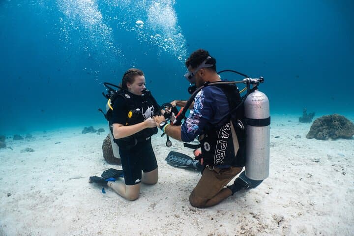 Muscat Shore Diving: Explore Oman's Reefs & Shipwrecks from the Beach