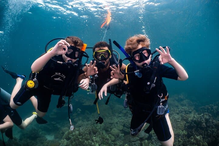 Scuba Diving in Muscat: Day Dives to Coral Reefs and Turtles photo 1