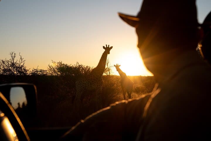 Private Full-Day Safari in Kruger National Park — Big Five Game Drive photo 3
