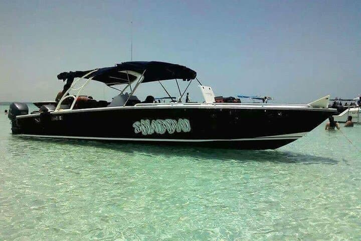 Private Whale Shark Swim from Playa del Carmen: Guided Snorkel & Lunch photo 3