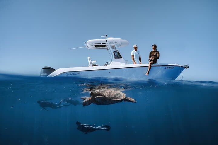 Snorkel with Turtles at Turtle Canyon — Semi-Private Waikiki Tour photo 2