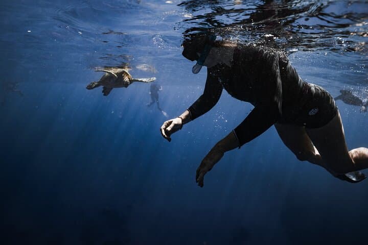 Turtle Canyon Snorkel — Semi‑Private Waikiki Sea Turtle Encounter photo 4