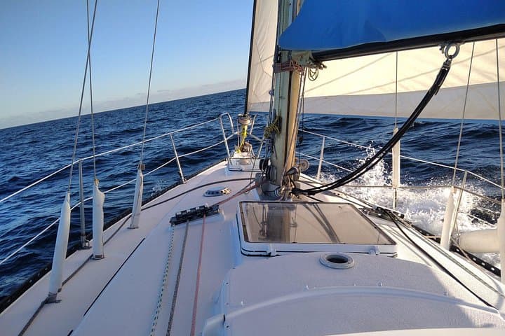 Private Puma 34 Sailing from Estepona: Dolphins, Sunset & Paddleboarding photo 3