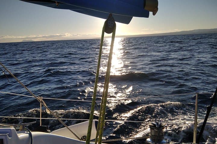 Private Puma 34 Sailing from Estepona: Dolphins, Sunset & Paddleboarding photo 5