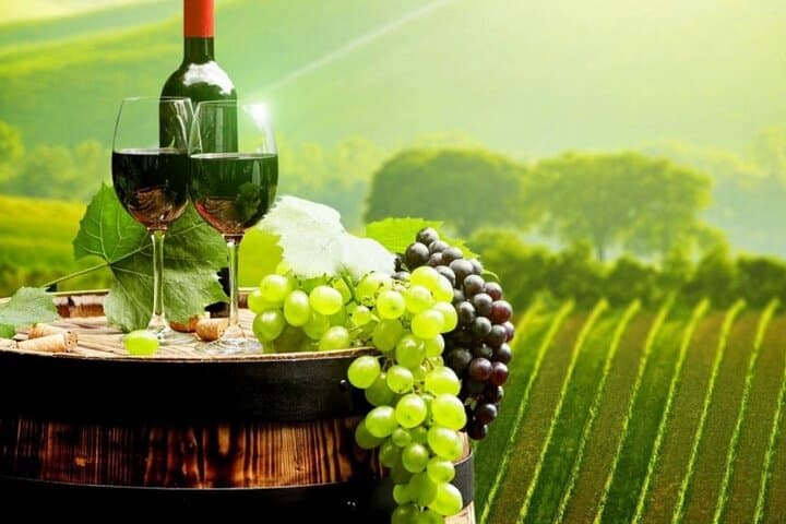 Bordeaux to Saint-Émilion Full-Day Wine Tour with Grand Cru Tastings & Gourmet Lunch